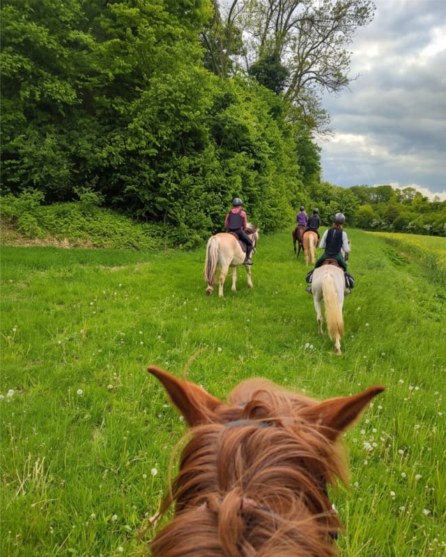 Balade à cheval en pleine nature dans le Vexin