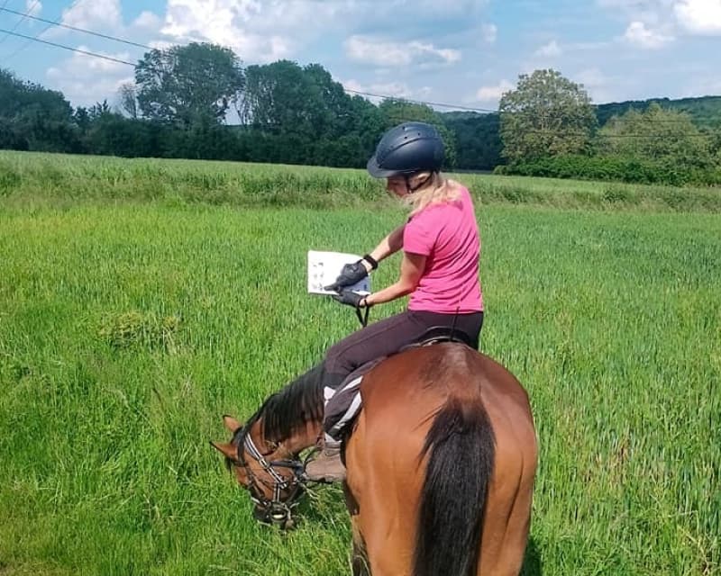 Cours d'équitation de pleine nature dans le Vexin — apprentissage en extérieur