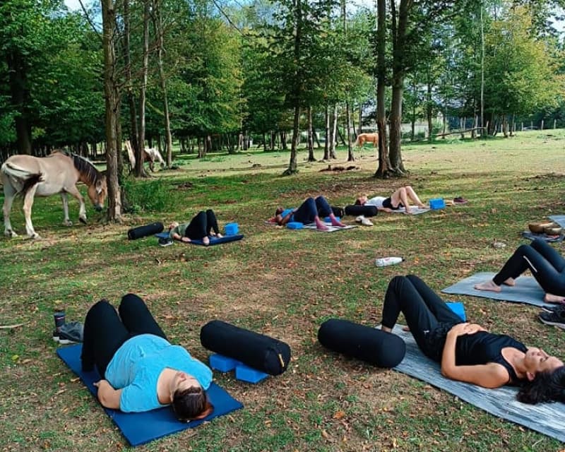 Yoga équitation au milieu des chevaux dans le Vexin