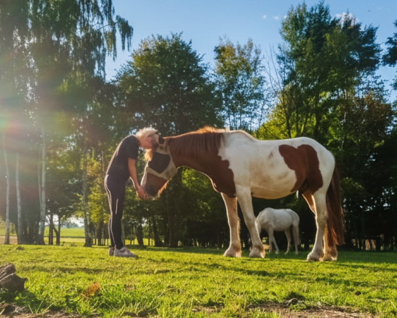 Connexion avec le cheval