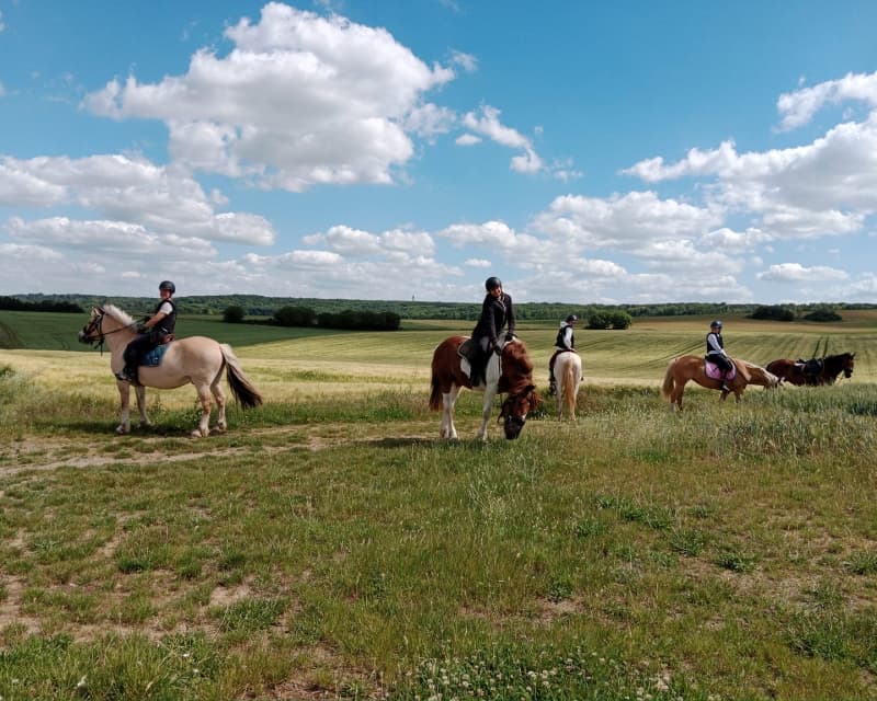 Groupe en balade équestre