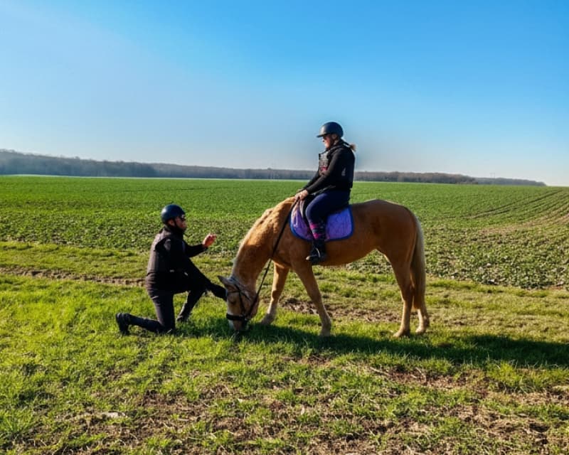 Demande en mariage à cheval : un couple dans un cadre romantique, entouré de nature